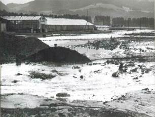 Šlechtitelská stanice Sempra Náchod 18. 6. 1979 v 17 hod